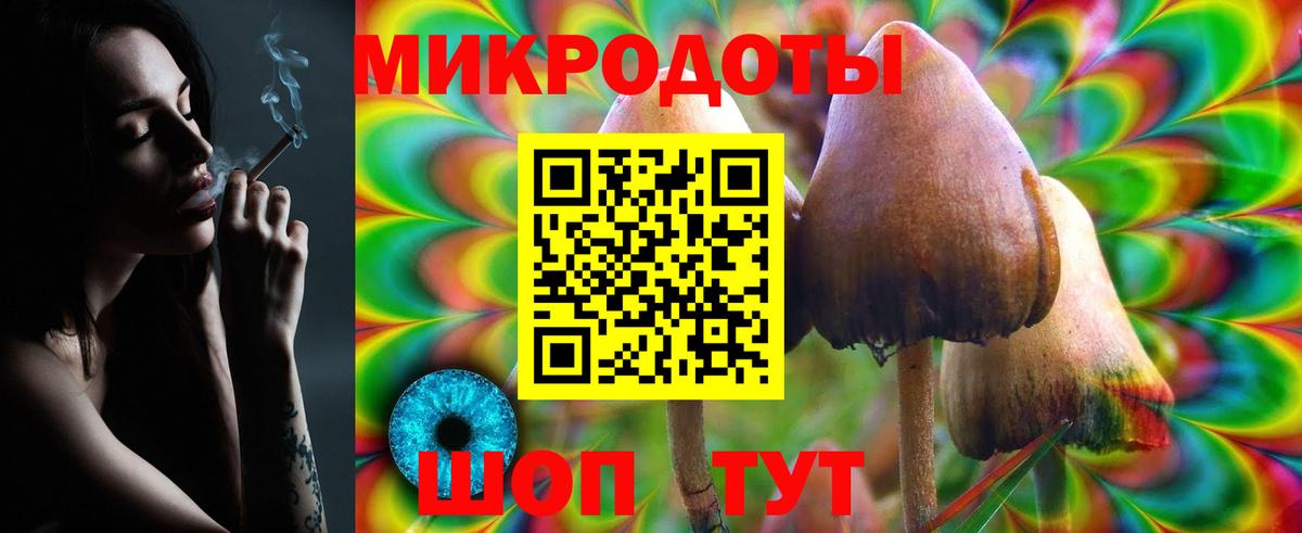 Псилоцибиновые грибы Psilocybe Аргун