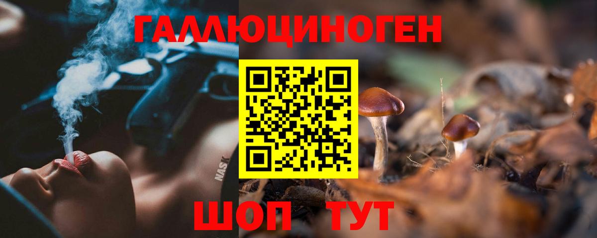 закладка  Галлюциногенные грибы GOLDEN TEACHER  Вход с VPN  Аргун 